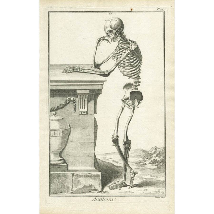 Débâcles, rivoluzioni e fratture del continuo: i Lumi e il tempo dell’inatteso